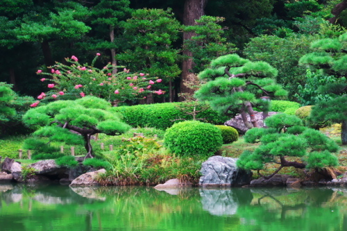 真夏の清澄庭園1_a0263109_20125897.jpg