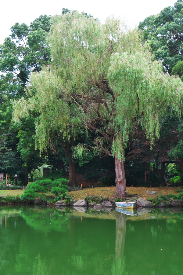 真夏の清澄庭園1_a0263109_20125937.jpg