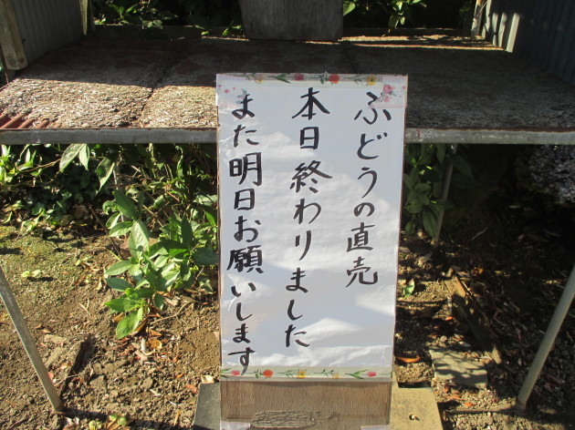b0183111_20233784.jpg