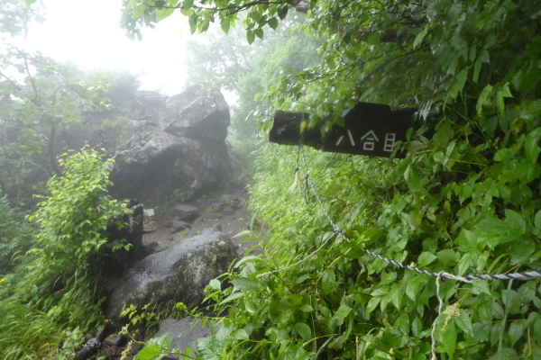 d0170615_19142580.jpg