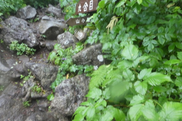 d0170615_19150157.jpg