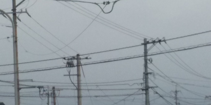 秋雨前線は南へ_e0094315_07031488.jpg