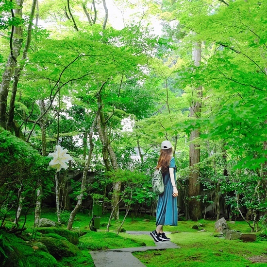 「宮城県記事が公開されました」_a0000029_10233341.jpg
