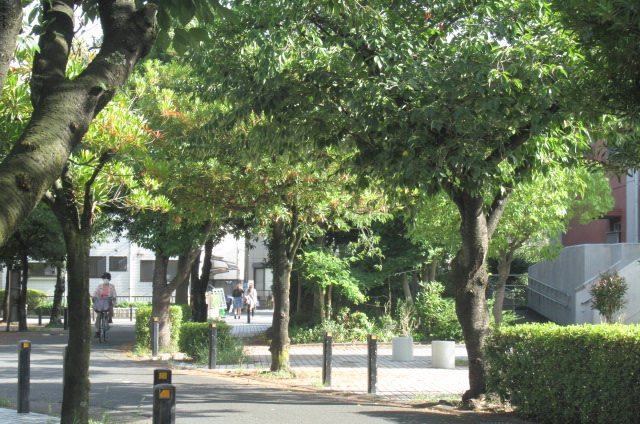 a0214329_11223165.jpg