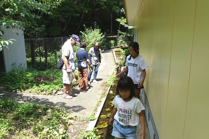 f0177529_22173952.jpg
