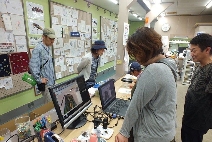 f0177529_22235617.jpg