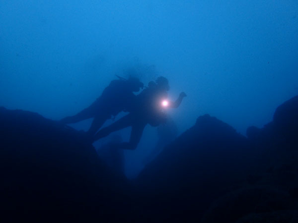 d0164831_16144453.jpg