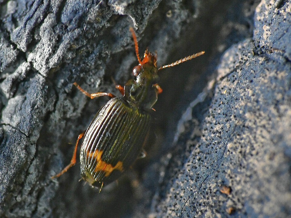 f0340732_20500341.jpg