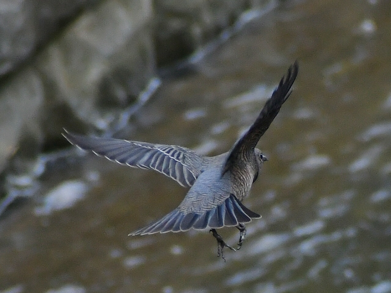 f0340732_20530859.jpg
