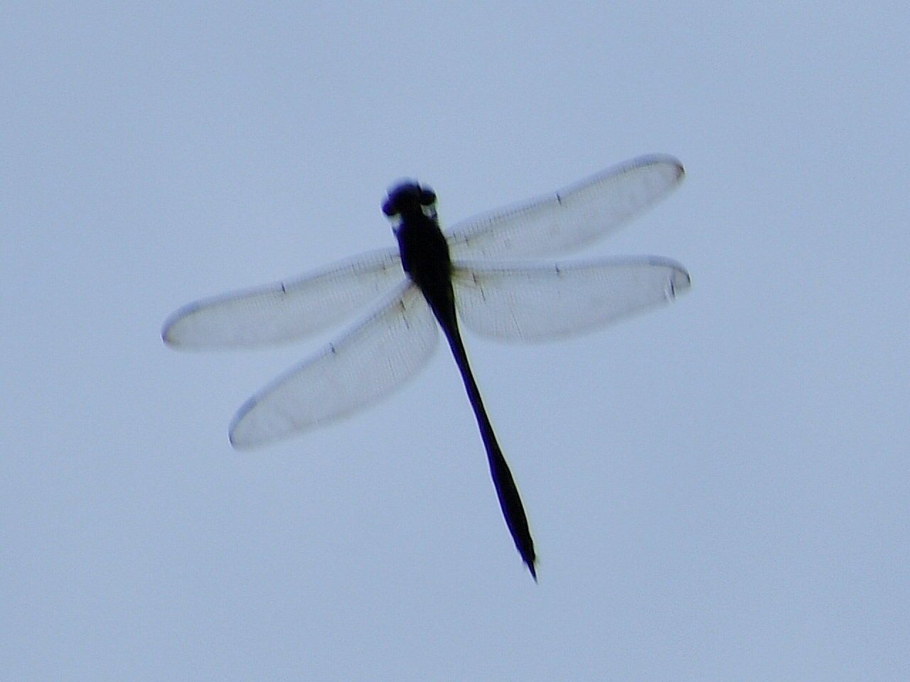 f0340732_20540375.jpg
