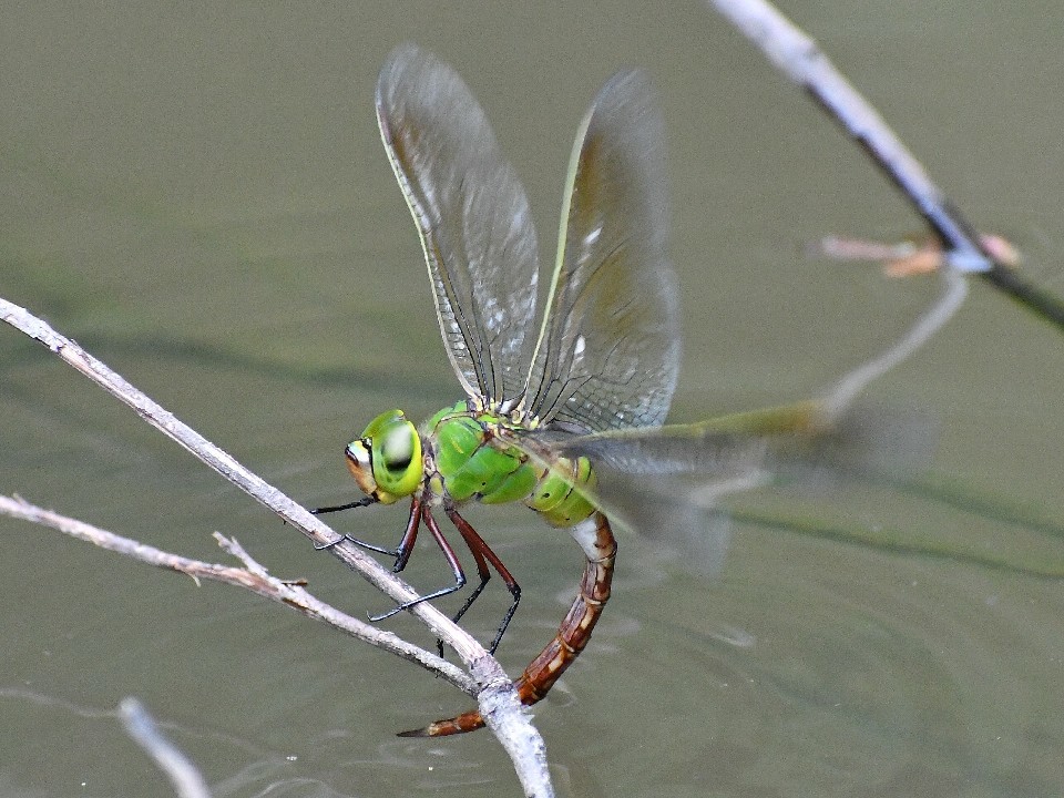 f0340732_20582781.jpg