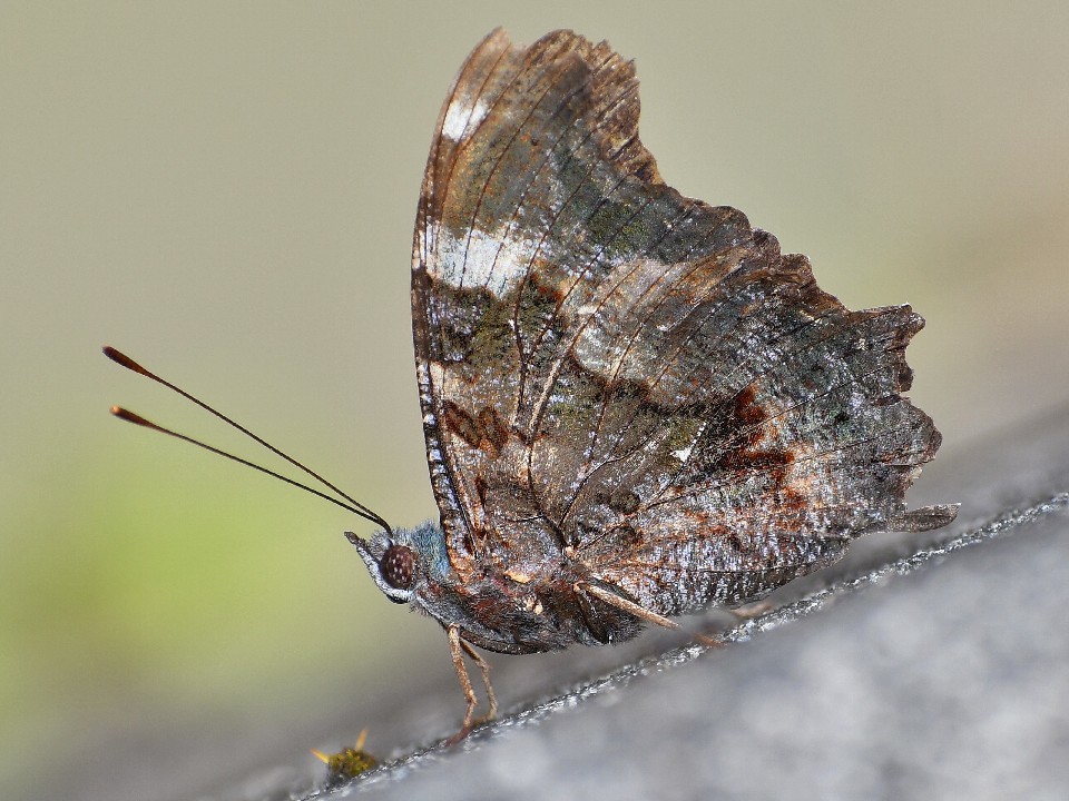 f0340732_20591654.jpg