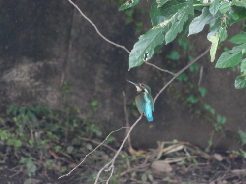 c0338136_20393194.jpg