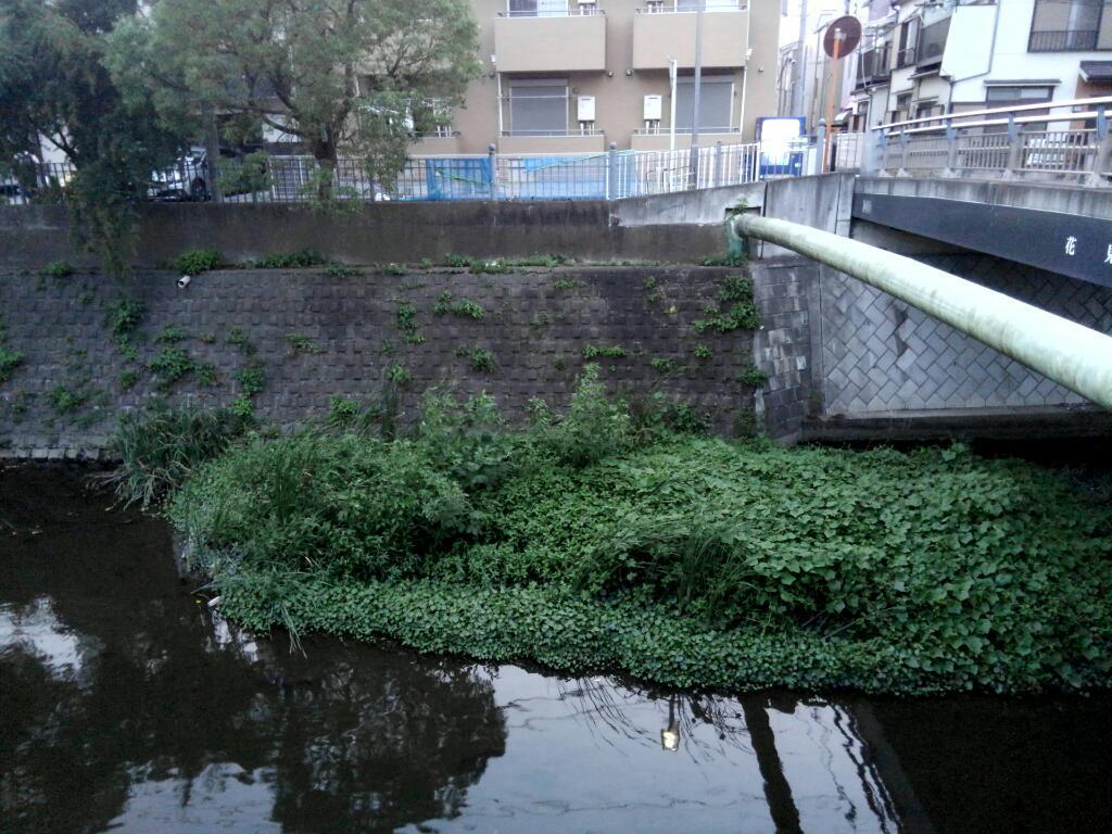 花見橋