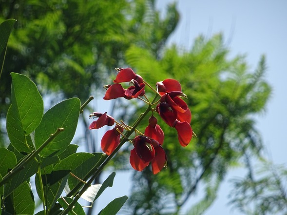 b0299042_22181590.jpg