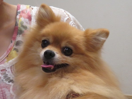 8月 24日の写真_c0174644_19170904.jpg