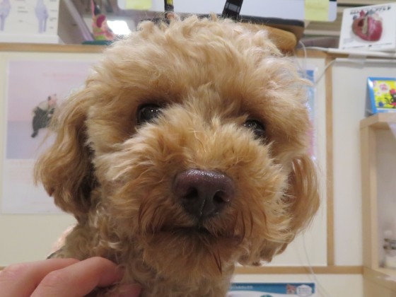 8月 24日の写真_c0174644_19174313.jpg