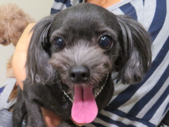 8月 24日の写真_c0174644_19183786.jpg