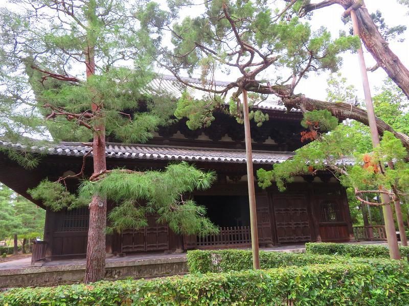京都大徳寺の紹介20190822_e0237645_18555244.jpg