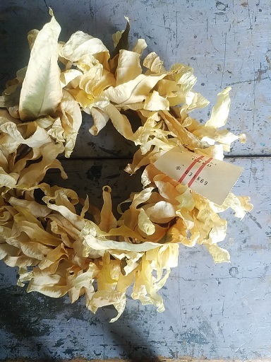 c0172261_15432236.jpg
