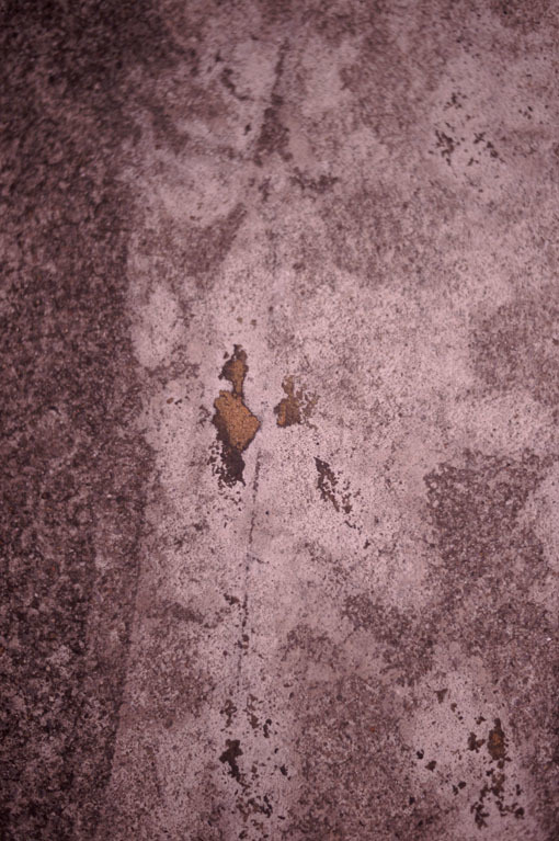 c0168172_11415219.jpg