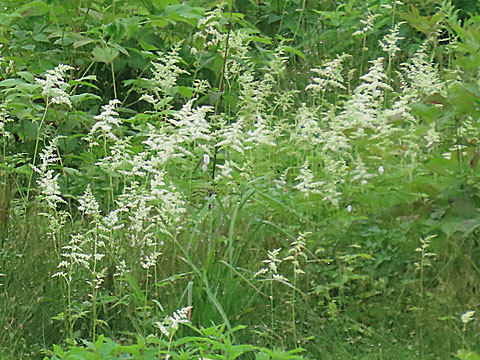 f0083977_21394346.jpg