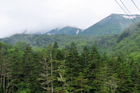 f0083977_21401278.jpg