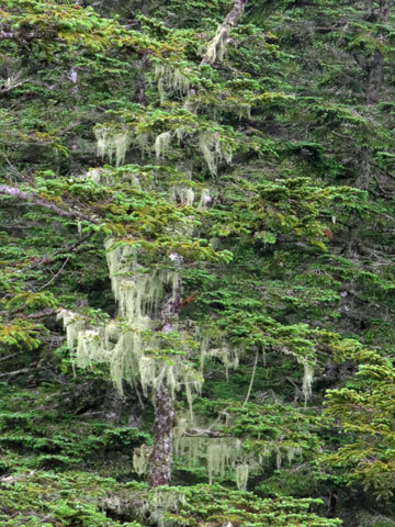 f0083977_21401316.jpg