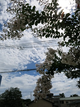 e0130185_23243570.jpg