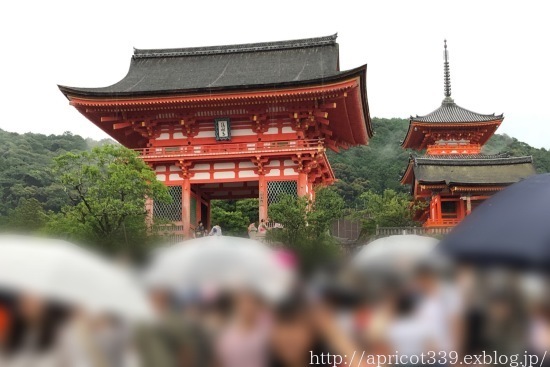 次女の修学旅行の下見で京都へ_c0293787_20594734.jpg