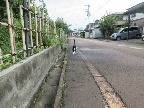 コロコロごろごろ_a0203003_14080249.jpg