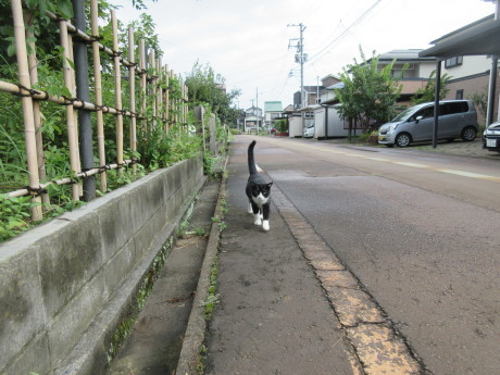 コロコロごろごろ_a0203003_14081649.jpg