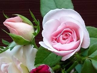 e0289203_11100247.jpg
