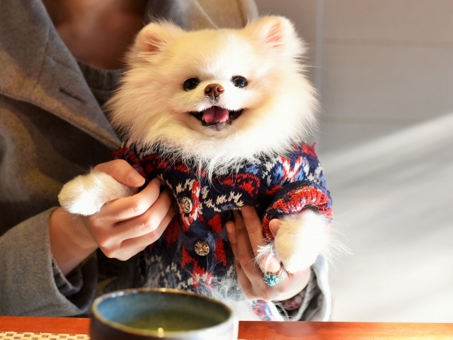最期の日のこと③_d0360206_23513783.jpg