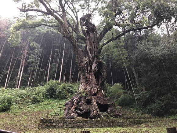 武雄神社（佐賀県武雄市）_f0364707_21462857.jpg