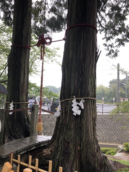 武雄神社（佐賀県武雄市）_f0364707_21484561.jpg