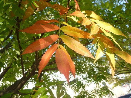 b0198109_12123772.jpg