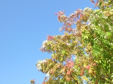 b0198109_12124946.jpg