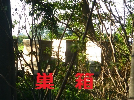 b0198109_12392993.jpg