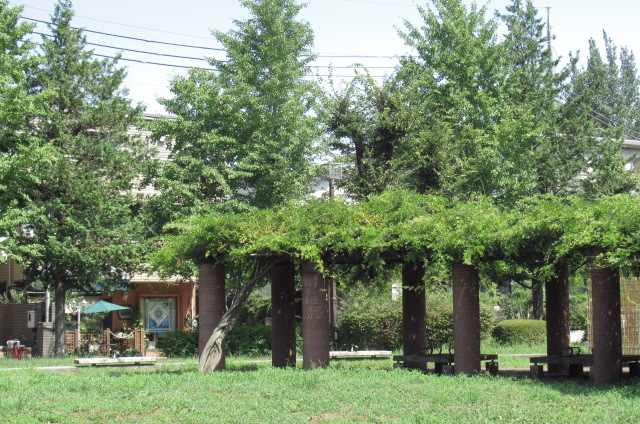 a0214329_15453891.jpg