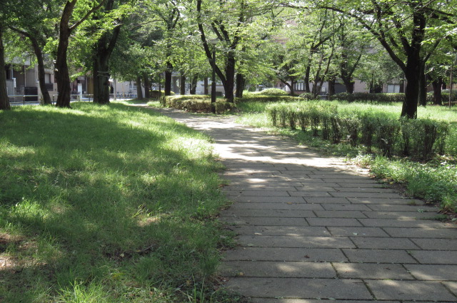 a0214329_15505187.jpg