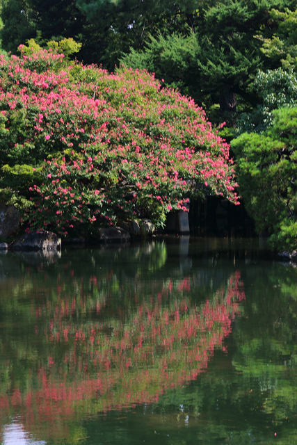 京の夏の旅2019 －夏の京都御所－_b0169330_1605336.jpg