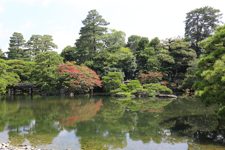 京の夏の旅2019 －夏の京都御所－_b0169330_1643323.jpg