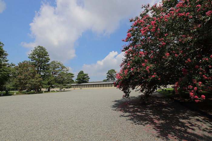 京の夏の旅2019 －夏の京都御所－_b0169330_16543811.jpg