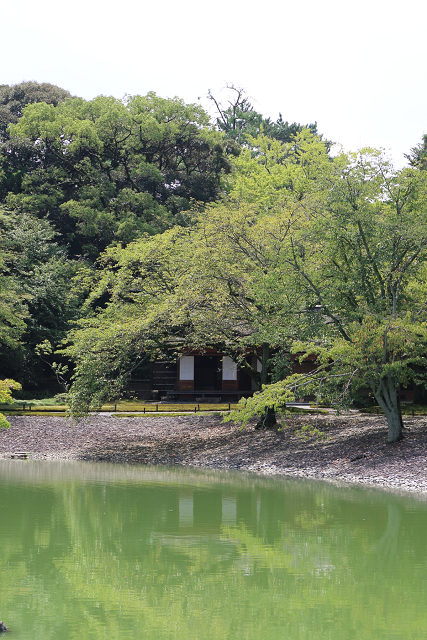 京の夏の旅2019 －夏の京都御所－_b0169330_17242366.jpg