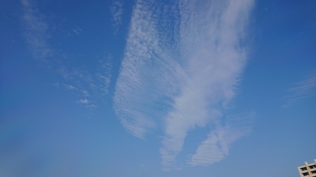 f0061531_08174276.jpg