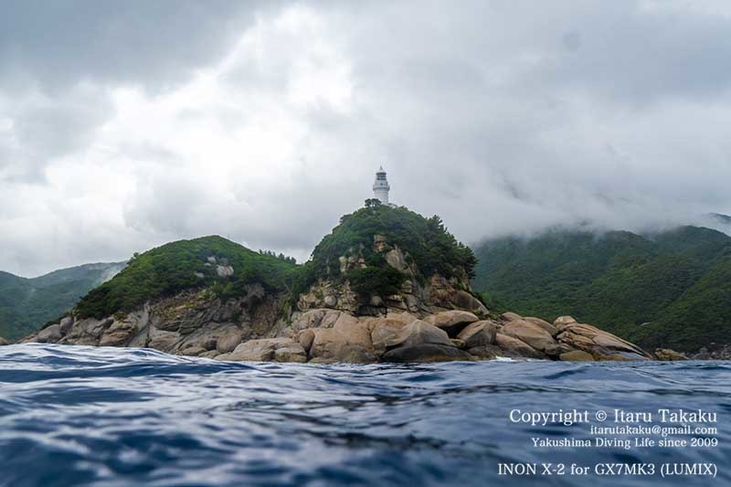 雷ときどき漂流寸前！〜海洋ゴミの脅威やら夏の華〜_b0186442_21085729.jpg