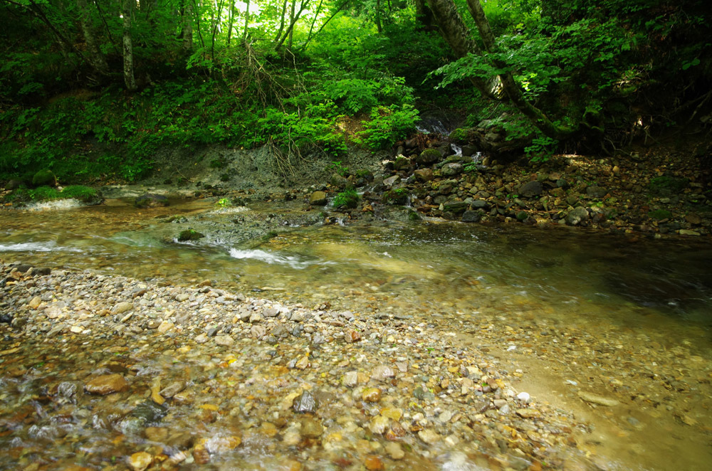 c0077847_22180497.jpg