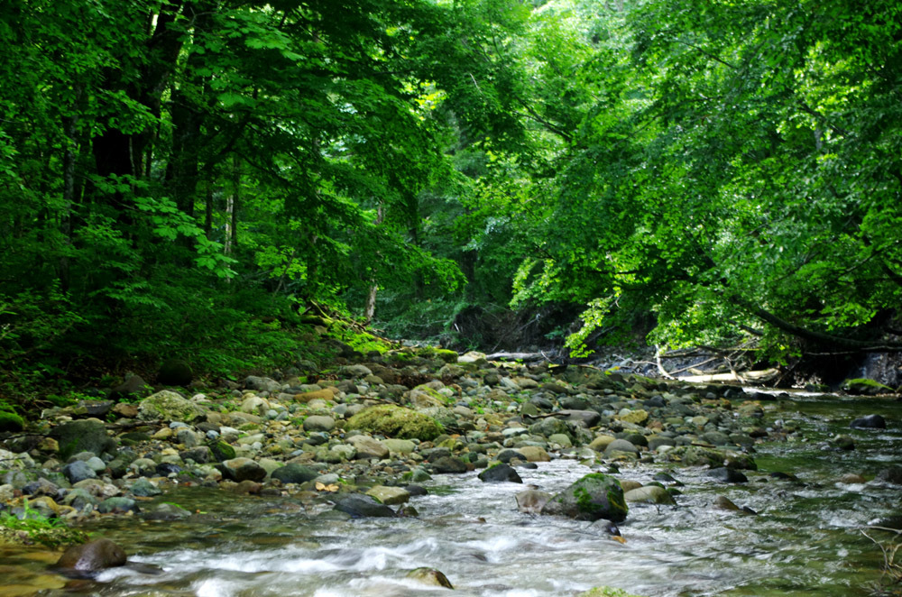 c0077847_23001857.jpg