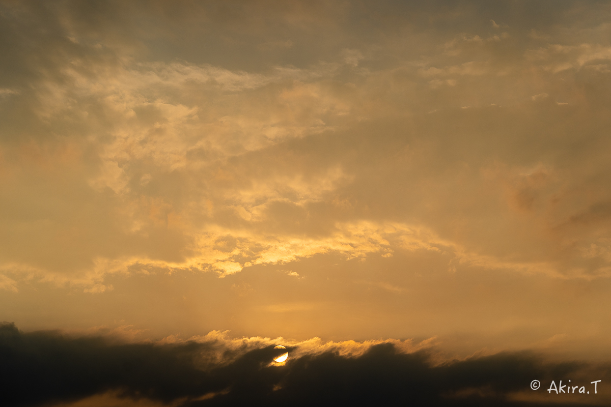f0152550_16271553.jpg